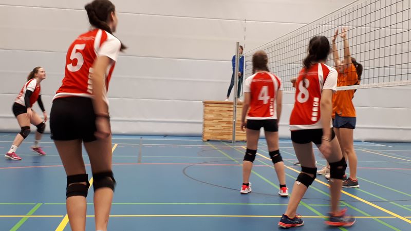 Steller-Volleys weiblich II in Aktion_web.jpg