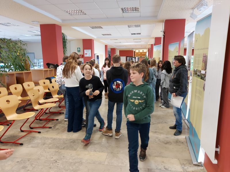 Biberausstellung am GWSG