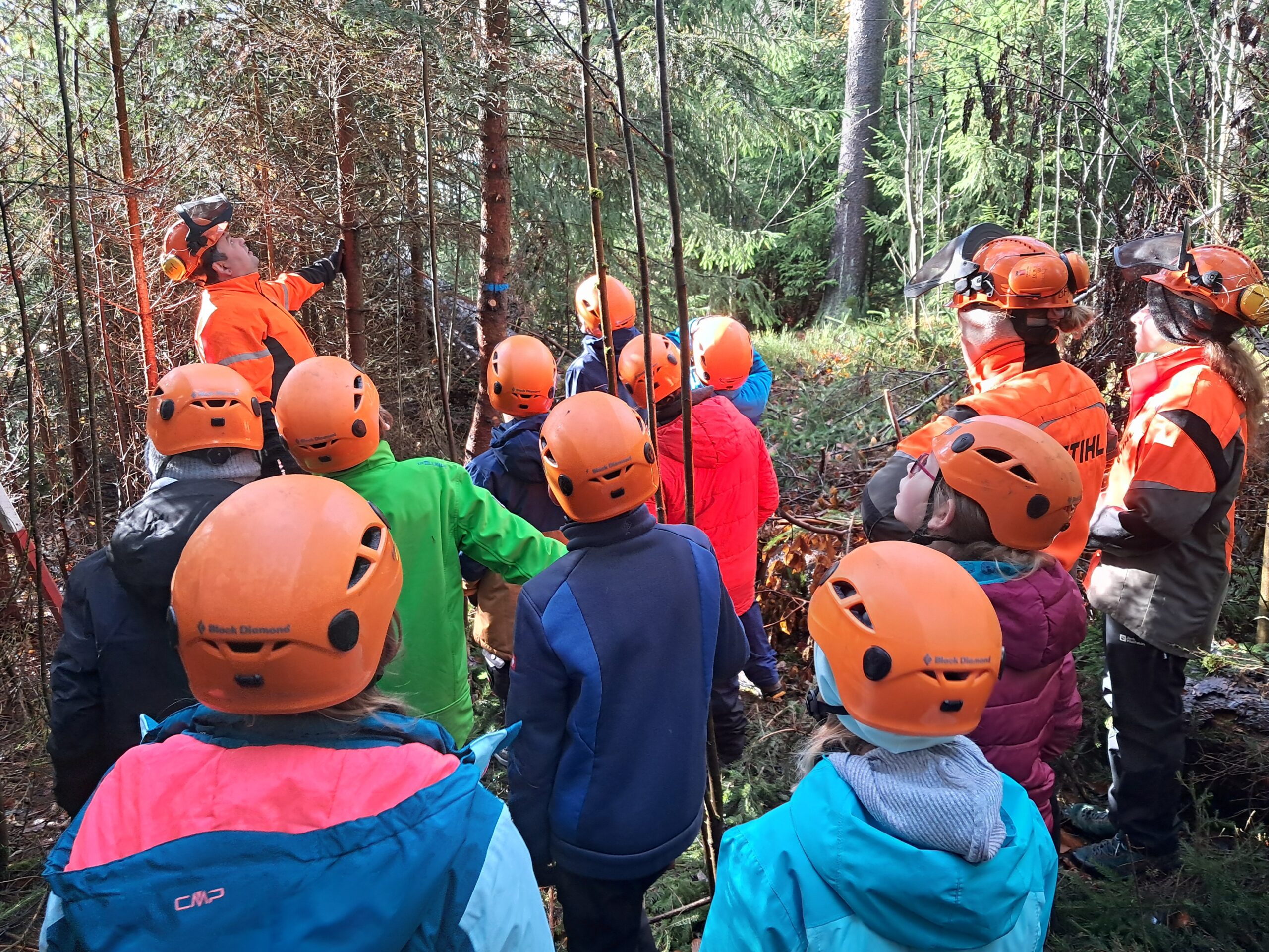 Klassenfahrt der 6B ins Jugendwaldheim Lauenstein
